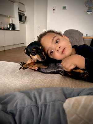 Farah, Puppyopvang in Assendelft