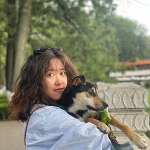 Shiyu, Dog Walking in Zamenhofdreef Neckardreef, Utrecht