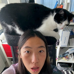 Yuyue, Puppyopvang in Haarlem