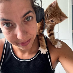 Allison, Kattenoppas in Rotterdam