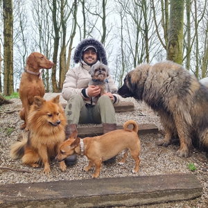 Ozan, Hondenpension in Zoeterwoude