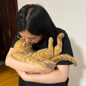 Bingjie, Kattenoppas in 's Gravenzande