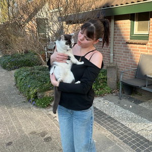 Qin, Kattenoppas in Zijderveld