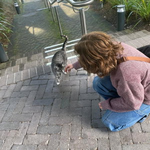 Emilia, Seniorenhundebetreuung in Minden