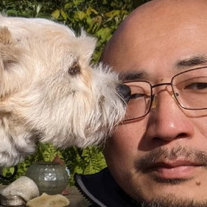 Philip, Pet Sitting in Assendelft