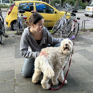 Elizabete, Huisoppas in Groningen 
