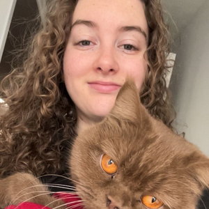 Lynn, Kattenoppas in Veldhoven