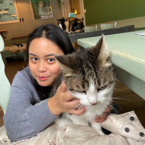 Alia, Kattenoppas in Nederland