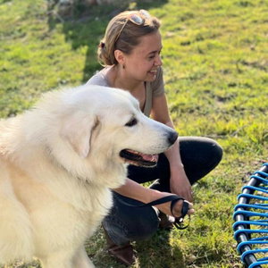 Sarai, Puppyopvang in Zorgvlied