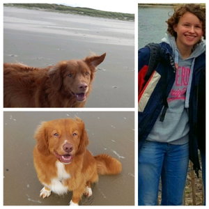 Anne, Dog Walking in Noordoost, Utrecht