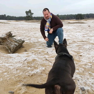 Roberto, Hondenpension in Dieren