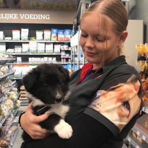 Savannah, Puppyopvang in Maastricht