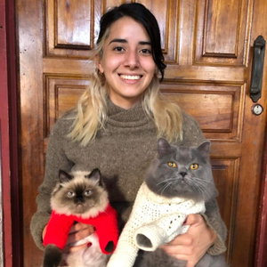 Katherine, Kattenoppas in Muiderberg