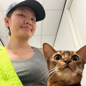 Xinqi, Kattenoppas in Carnisse, Rotterdam