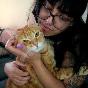 Clara, Pet Sitting in Grunwald