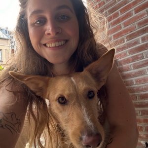 jente, Puppyopvang in Zorgvlied