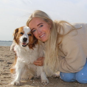Zoë, Seniorenopvang in Hellevoetsluis