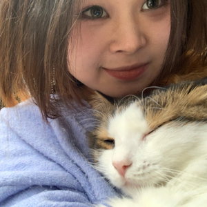 Congxiao, Kattenoppas in 's Gravenhage