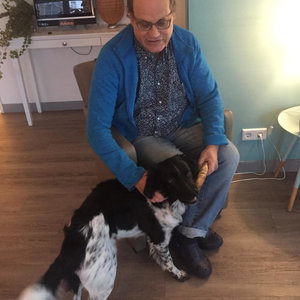 Bert, Hondenoppas in Rotterdam
