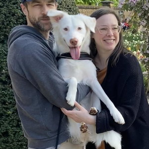 Denise, Puppyopvang in Klaaswaal