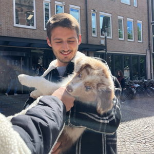 José, Hondenoppas in Groningen
