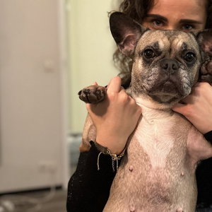 Robin, Puppyopvang in Tilburg