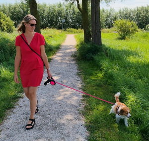 Lindsey, Hondenpension in Wormerveer