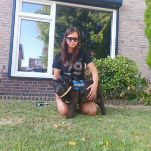 Daphne, Hondenoppas in Herpen