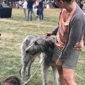 Mayke, Seniorenhundebetreuung in Durmersheim