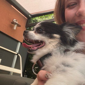 Liza, Seniorenhundebetreuung in Bernau