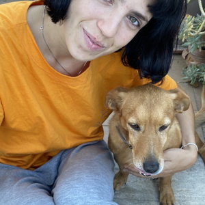 Sara Jane, Seniorenhundebetreuung in Berlin
