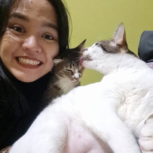 Nurlia, Kattenoppas in Krimpen Aan Den Ijssel