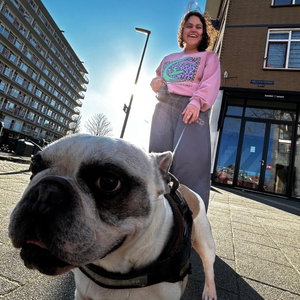 Jessie, Hondenuitlaatservice in 's Gravenzande