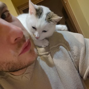 Nico, Kattenoppas in Ankeveen