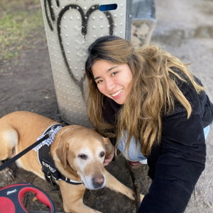 Shanshan, Puppyopvang in Stadsdriehoek, Rotterdam
