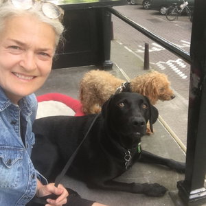 Kathi, Hondenoppas in Amsterdam