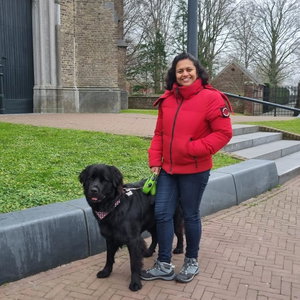 vandana, Hondenpension in Waalre