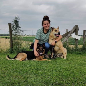 Mariska, Puppyopvang in Ooltgensplaat