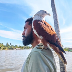 Vinoth, Puppyopvang in Klaaswaal