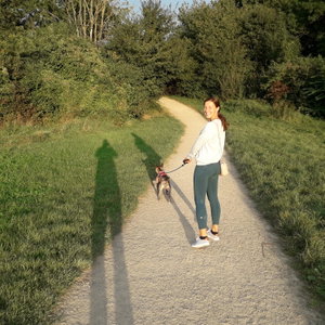 Nikola, Puppyopvang in Maastricht