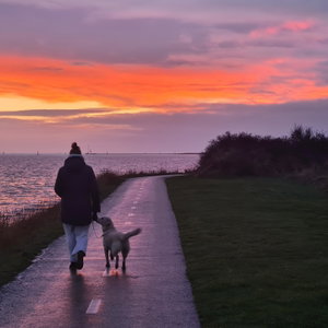 Willeke, Doggy Day Care in Leek