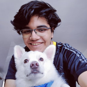 Tanav, Hondenoppas in Nederland