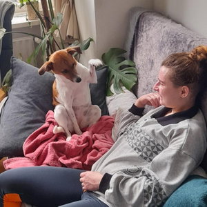 Charlotte, Seniorenhundebetreuung in Mainz
