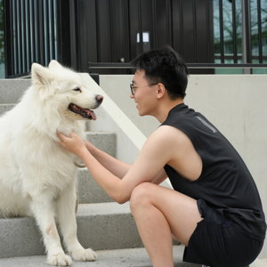 Jianyang, Kattenoppas in Amsterdam