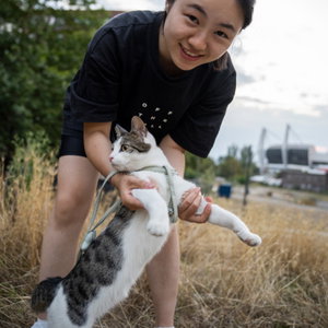Liu, Kattenoppas in Nederland