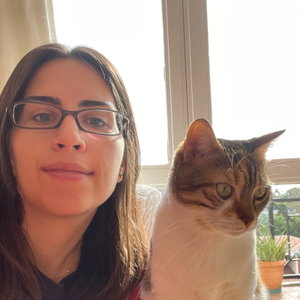 ezgi, Kattenoppas in S Gravenhage