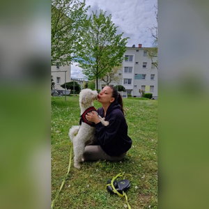 Tamara, Seniorenhundebetreuung in Frankfurt Am Main