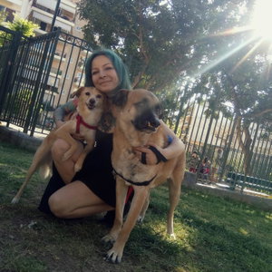 Dimitria Dima, Seniorenhundebetreuung in Hannover