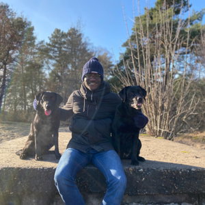 Ovie, Hondenpension in Zijderveld