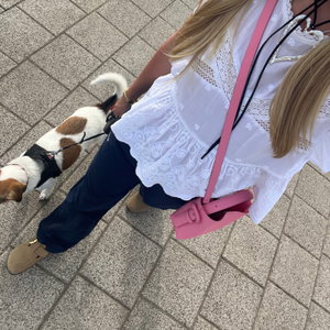 Aleksandra, Hondenopvang in Purmerend